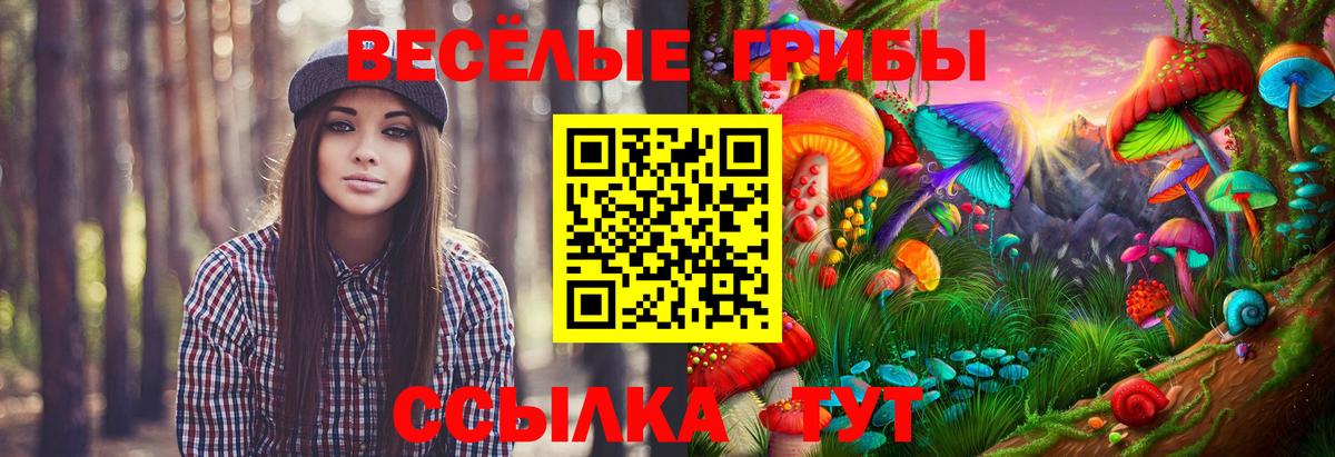 Псилоцибиновые грибы ЛСД  Вход с VPN  Псилоцибиновые грибы Cubensis  Нижний Тагил 